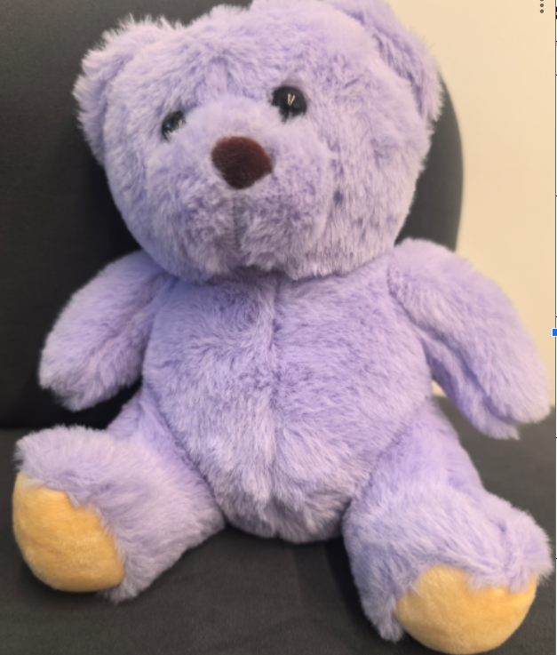 Bear Plush Toy- Purple