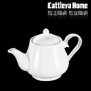 Small Ceramic Meixing Teapot
