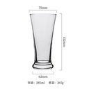 Crystal Clear Pilsner Glass  285ml